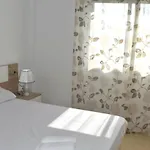 Blaucel Apartment Deltebre